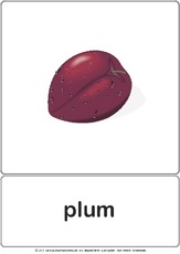 Bildkarte - plum.pdf